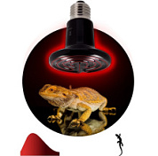 картинка Инфракрасная лампа Fito-100w-НQ CeramiHeat RX для брудера, рептилий Б0052715 ЭРА от интернет-магазина К1-СТРОЙ