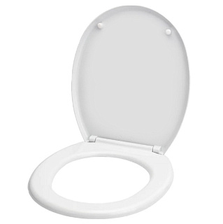 картинка Сиденье для унитаза WS0100 АНИ Пласт от интернет-магазина К1-СТРОЙ