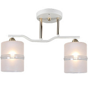 картинка Cветильник потолочный 02283-0.3-02 WT+FGD Reluce от интернет-магазина К1-СТРОЙ