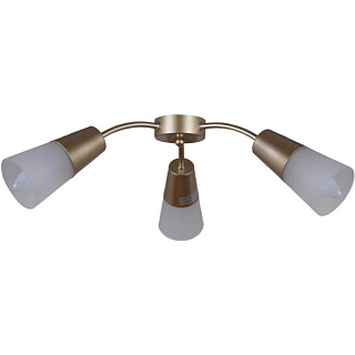 картинка Светильник потолочный 01266-0.3-03B GOLD Reluce от интернет-магазина К1-СТРОЙ