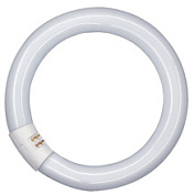 картинка Люминесцентная лампа кольцевая T8 40W/840 G10q Osram от интернет-магазина К1-СТРОЙ