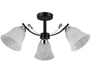 картинка Светильник потолочный люстра, IL9932-3CSQ-79 BK CR Sneha от интернет-магазина К1-СТРОЙ