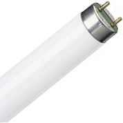 картинка Лампа люминесцентная T8 36w/76 G13 NATURA OSRAM от интернет-магазина К1-СТРОЙ