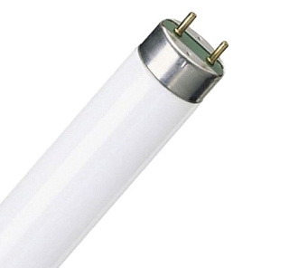 картинка Лампа люминесцентная T8 18W/76 G13  NATURA OSRAM от интернет-магазина К1-СТРОЙ