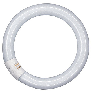 картинка Люминесцентная лампа кольцевая T8 40W/840 G10q Osram от интернет-магазина К1-СТРОЙ