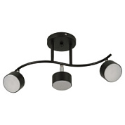 картинка Светильник настенно-потолочный спот 3хGX53 15 Вт поворотный7074-703 Rivoli Vanessa от интернет-магазина К1-СТРОЙ