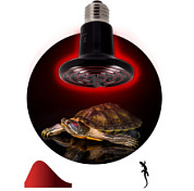 картинка Инфракрасная лампа Fito-50w-НQ CeramiHeat RX для брудера, рептилий Б0052714 ЭРА от интернет-магазина К1-СТРОЙ