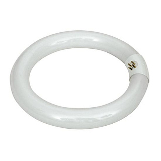 картинка Лампа люминесцентная кольцевая 22w G10q 4000k Sylvania от интернет-магазина К1-СТРОЙ