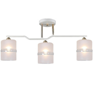 картинка Светильник потолочный 02283-0.3-03 WT+FGD Reluce от интернет-магазина К1-СТРОЙ