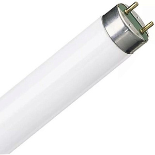 картинка Лампа люминесцентная T8 36w/76 G13 NATURA OSRAM от интернет-магазина К1-СТРОЙ