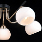 Светильник потолочный IL0713-5CSQ-24 BK FGD LIBRA ILLUMICO